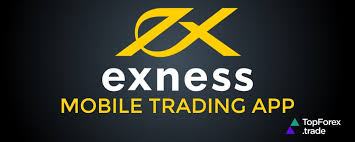 Everything You Need to Know About Exness Limited