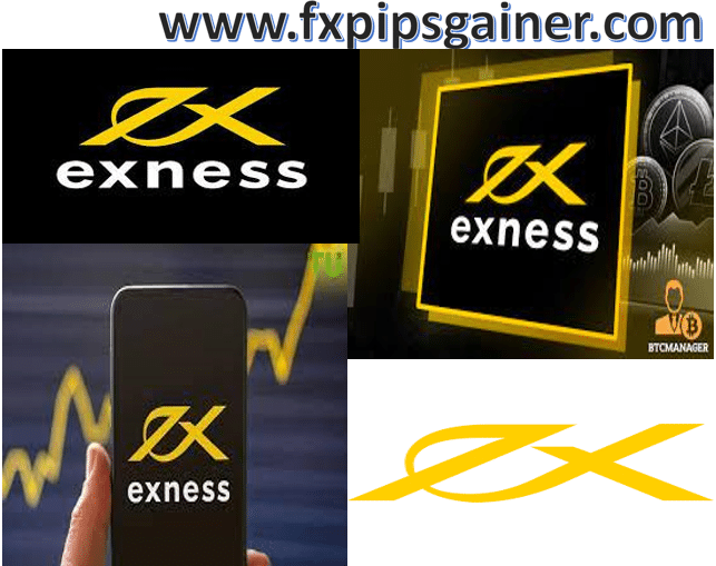 Everything You Need to Know About Exness Limited