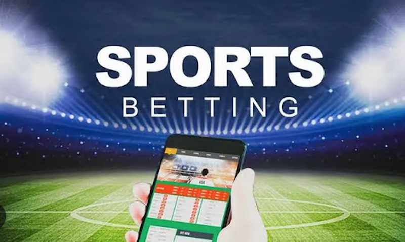 Betwinner Elevate Your Betting Experience
